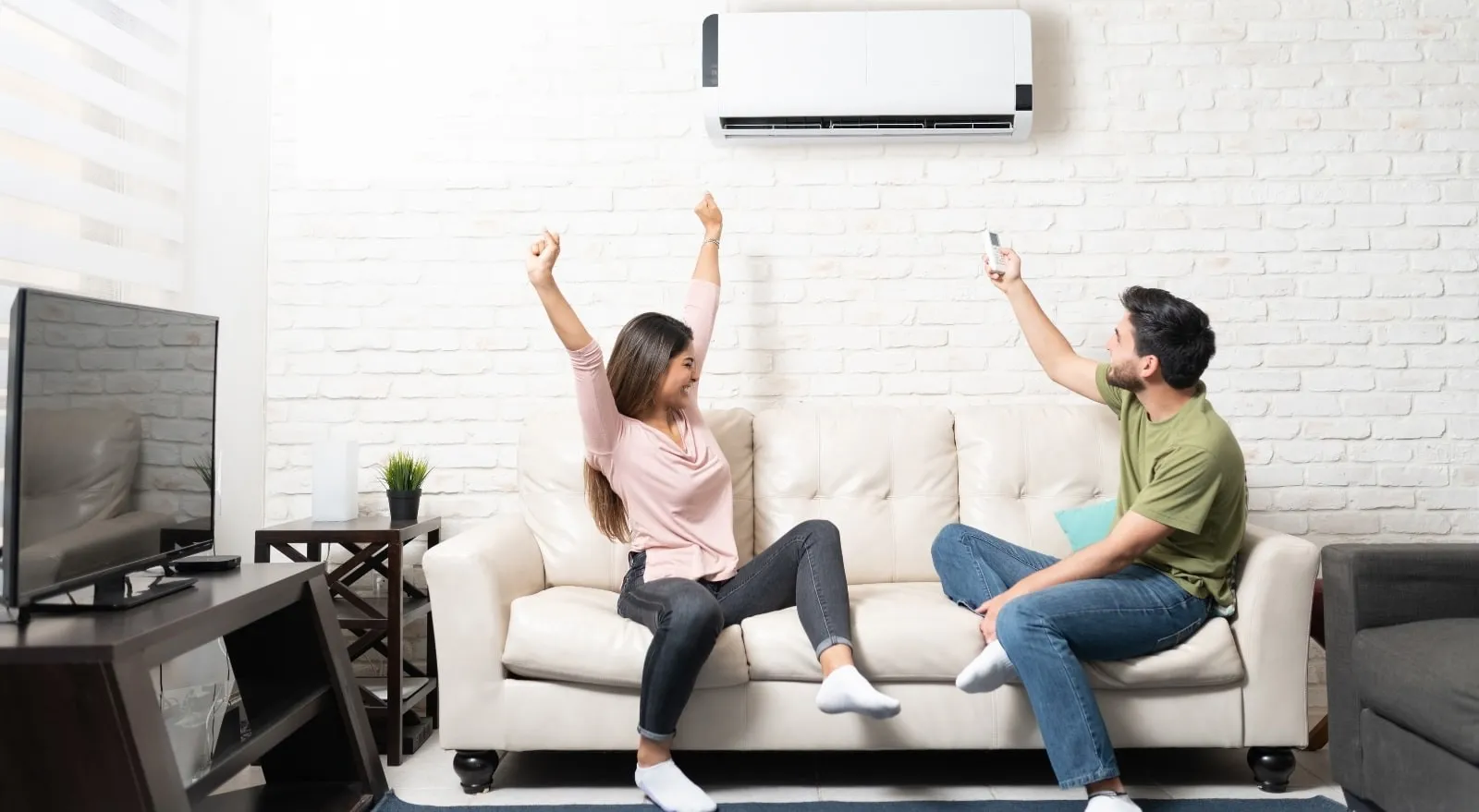 Take a step towards a greener future by choosing Haier and Mitsubishi mini-splits installed by Premier Air